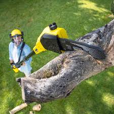 Best Lawn Pest Prevention  in Tainter Lake, WI